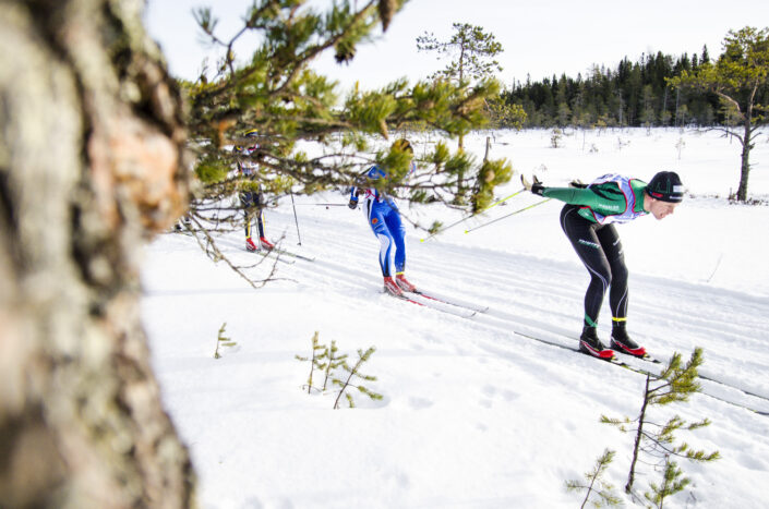 Längdskidåkning
